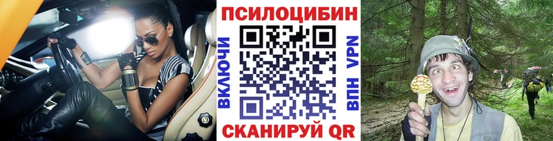 Псилоцибиновые грибы Psilocybine cubensis  Купить где  Багратионовск 